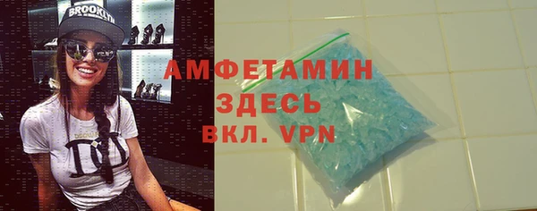 индика Алзамай