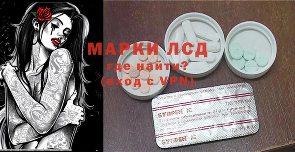 индика Алзамай