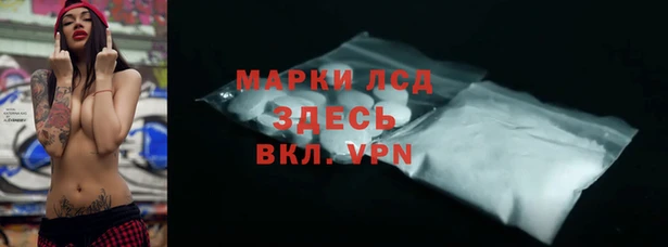 стаф Алексин