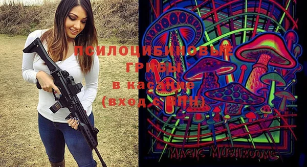 индика Алзамай