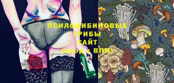 индика Алзамай