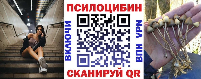 купить  цена  Лобня  Галлюциногенные грибы мицелий 